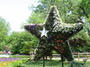 Texas_star_2