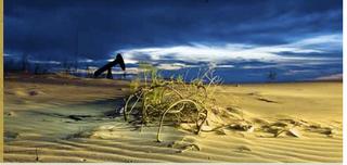 Screen shot 2011-11-04 at 2.47.46 PM