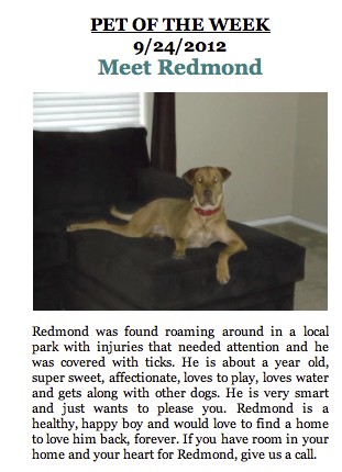 Screen Shot 2012-09-30 at 9.04.01 AM