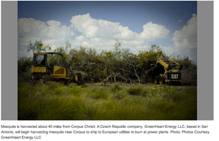 Screen Shot 2013-04-28 at 10.11.32 AM