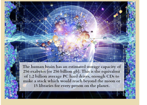 Screen Shot 2014-01-22 at 10.32.34 AM