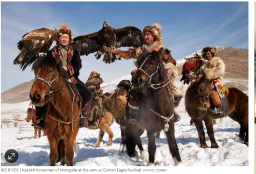 Screen Shot 2015-09-19 at 11.11.33 AM