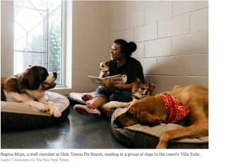 Screen Shot 2017-07-21 at 11.14.26 AM