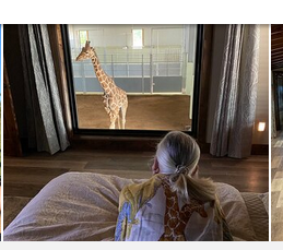 Screen Shot 2022-02-17 at 8.26.25 AM