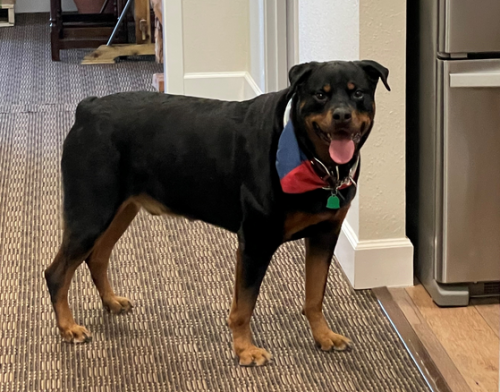 Screen Shot 2022-08-24 at 1.10.03 PM