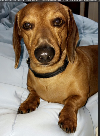 Screen Shot 2022-08-24 at 7.50.00 AM