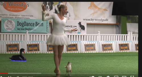 Screen Shot 2022-09-16 at 2.08.25 PM