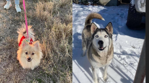 Screen Shot 2022-09-13 at 1.06.29 PM